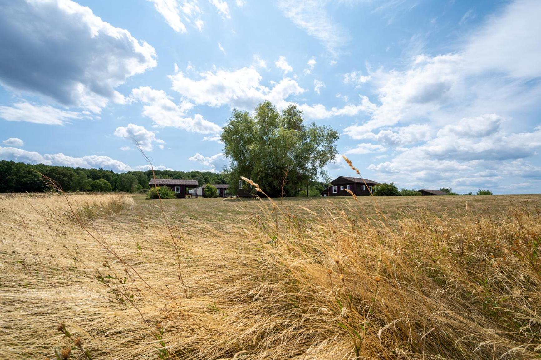 Camping Les Vosges Du Nord Oberbronn Esterno foto